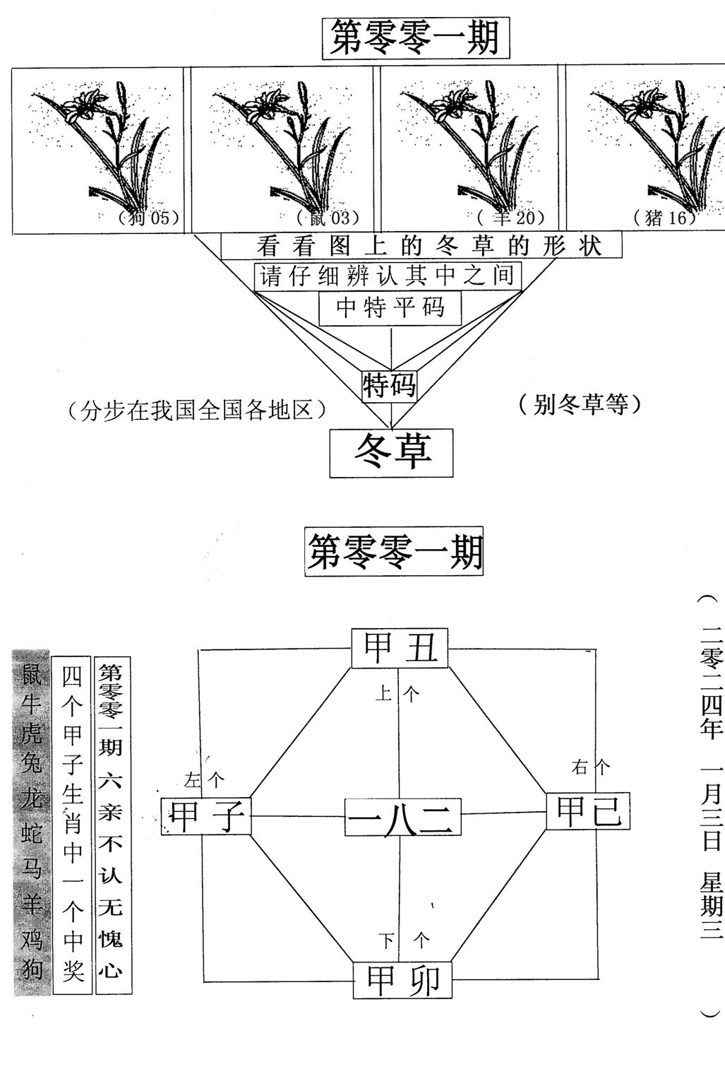 每期一花草-1