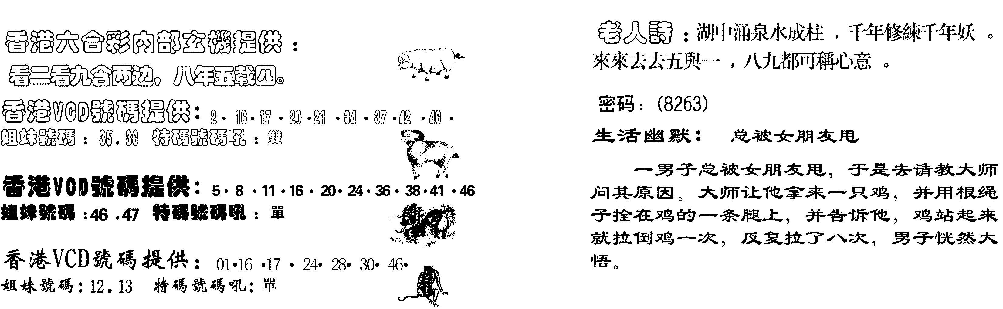 当日跑狗-1