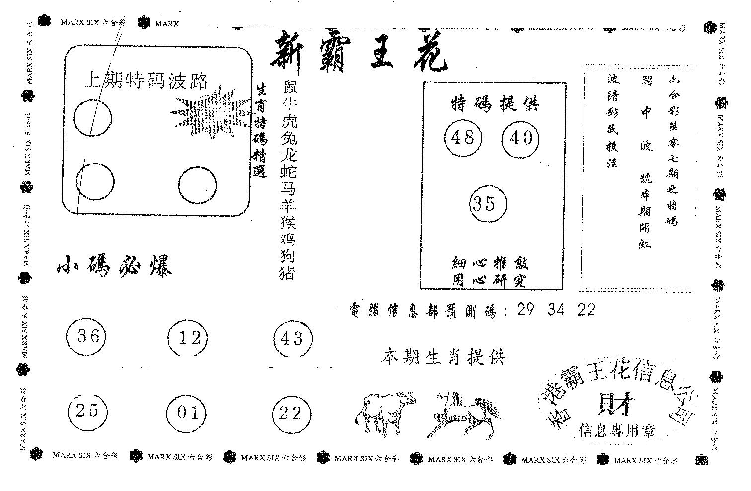 新霸王花-1