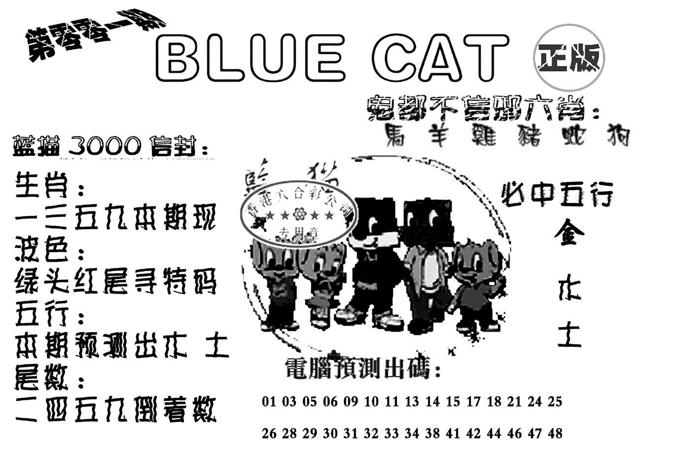 蓝猫Blue Cat-1