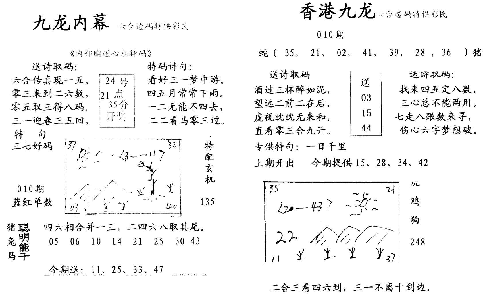 九龙内幕--开奖报-10