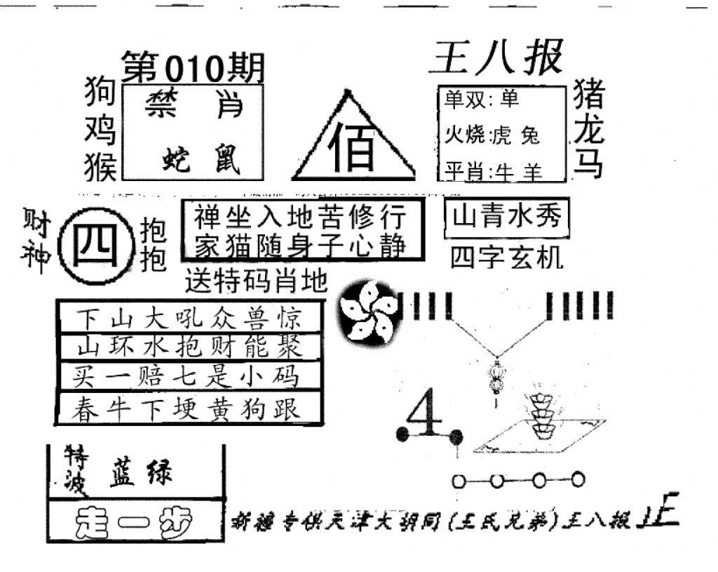 王八报-10