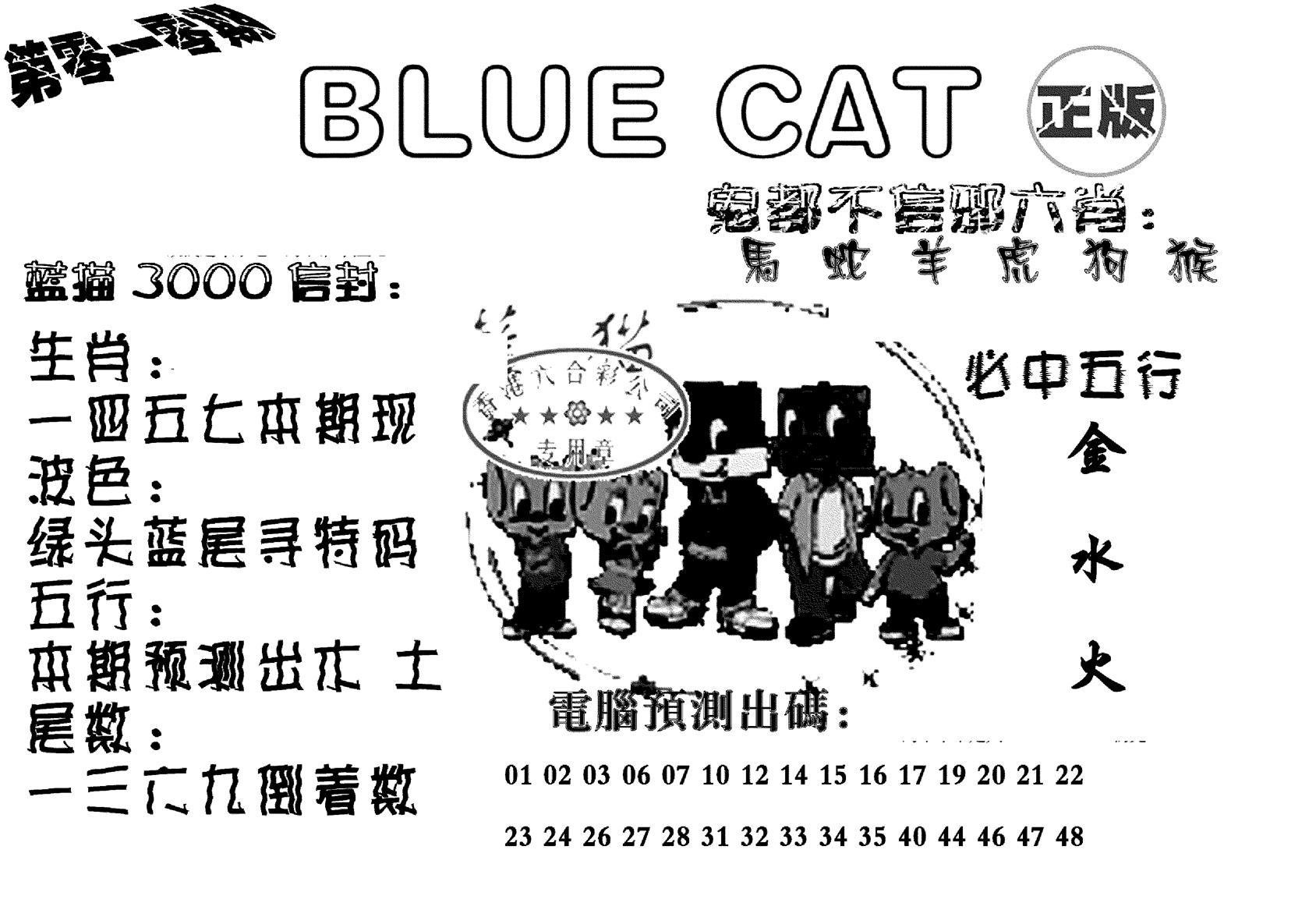 蓝猫Blue Cat-10