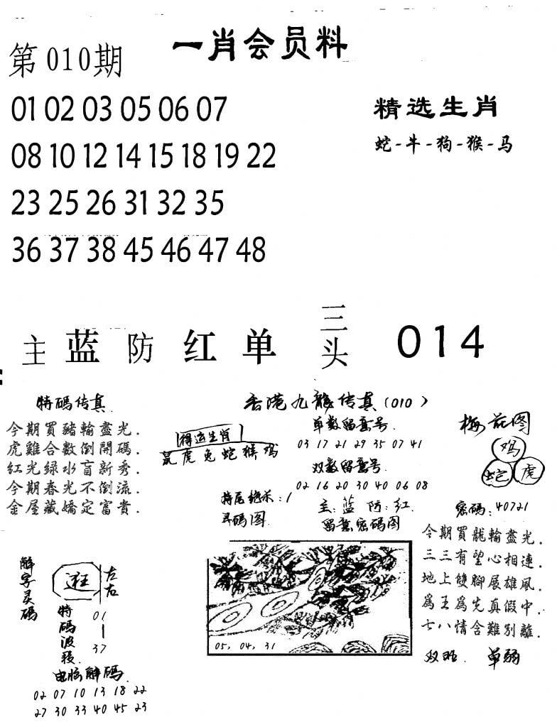 一肖会员料-10