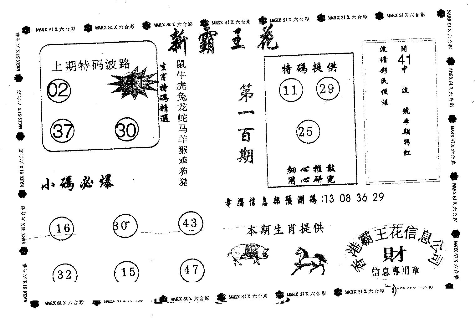 新霸王花-100