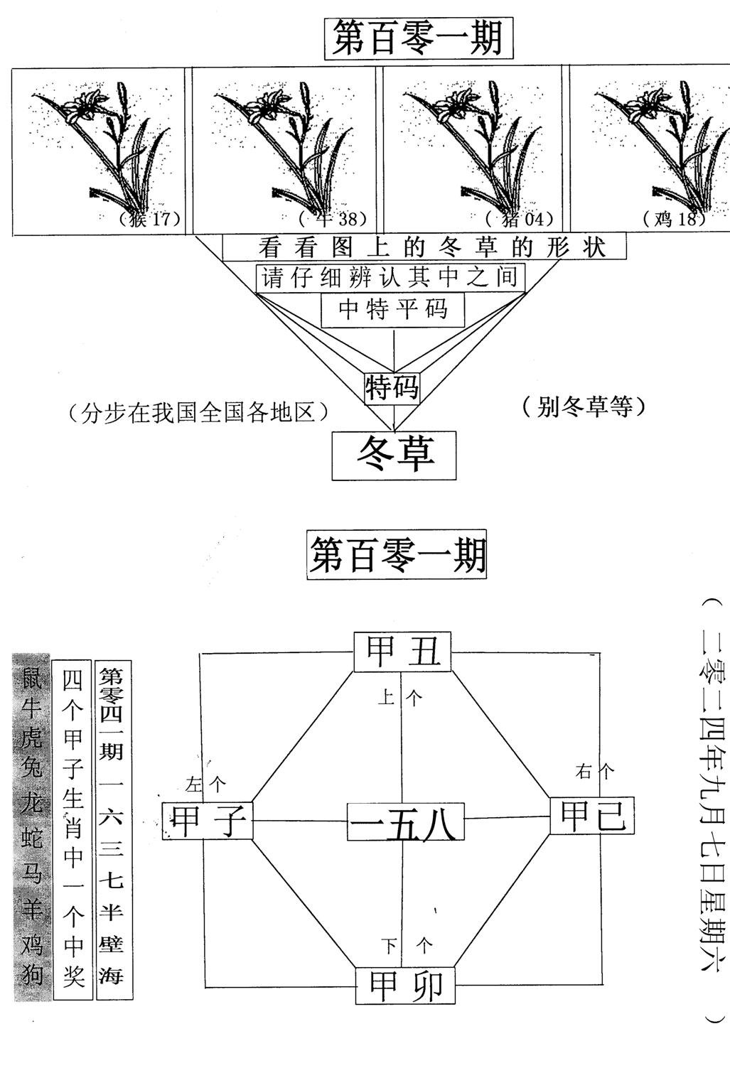 每期一花草-101