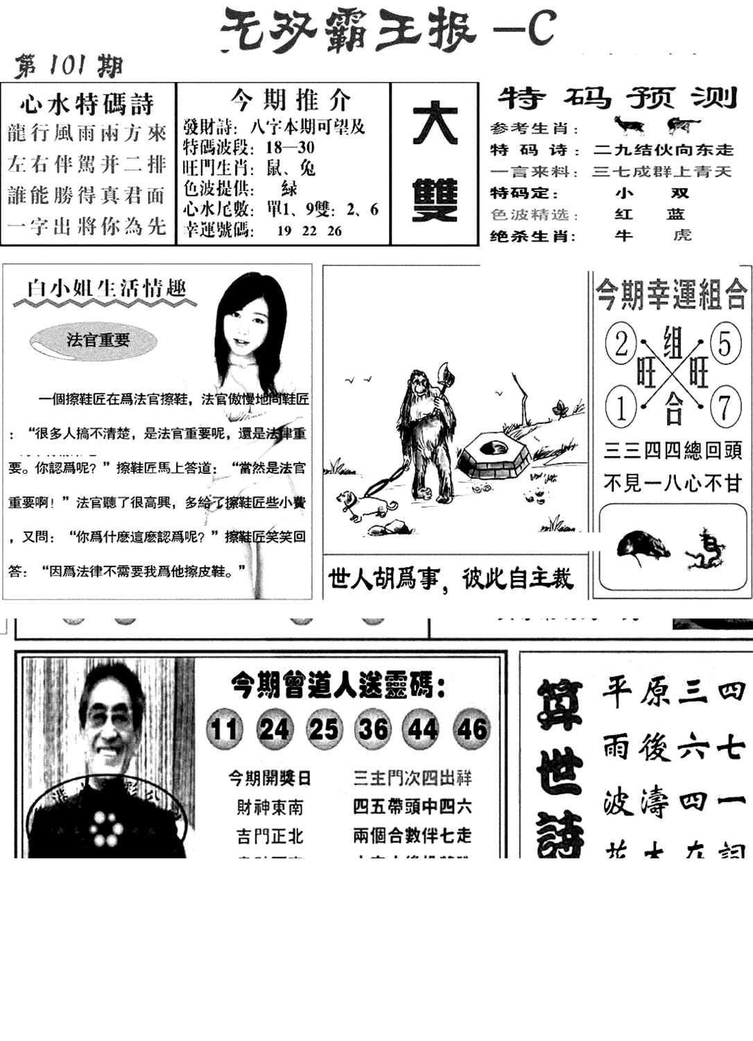 无双霸王报C(新图)-101