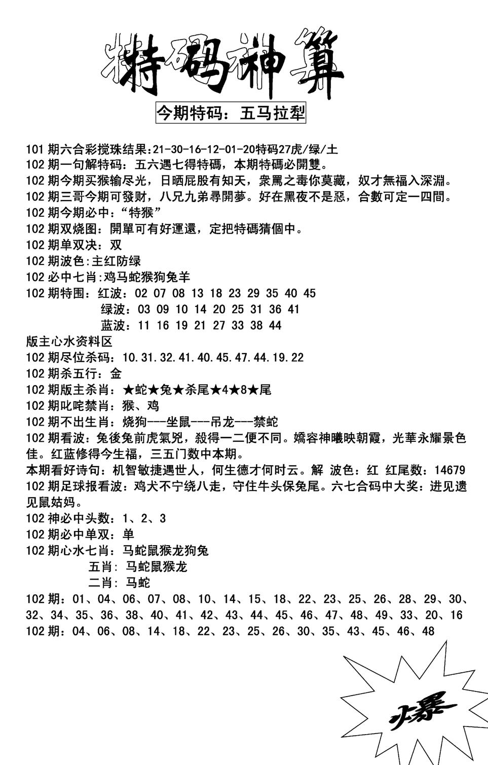 特码神算(新图)-102