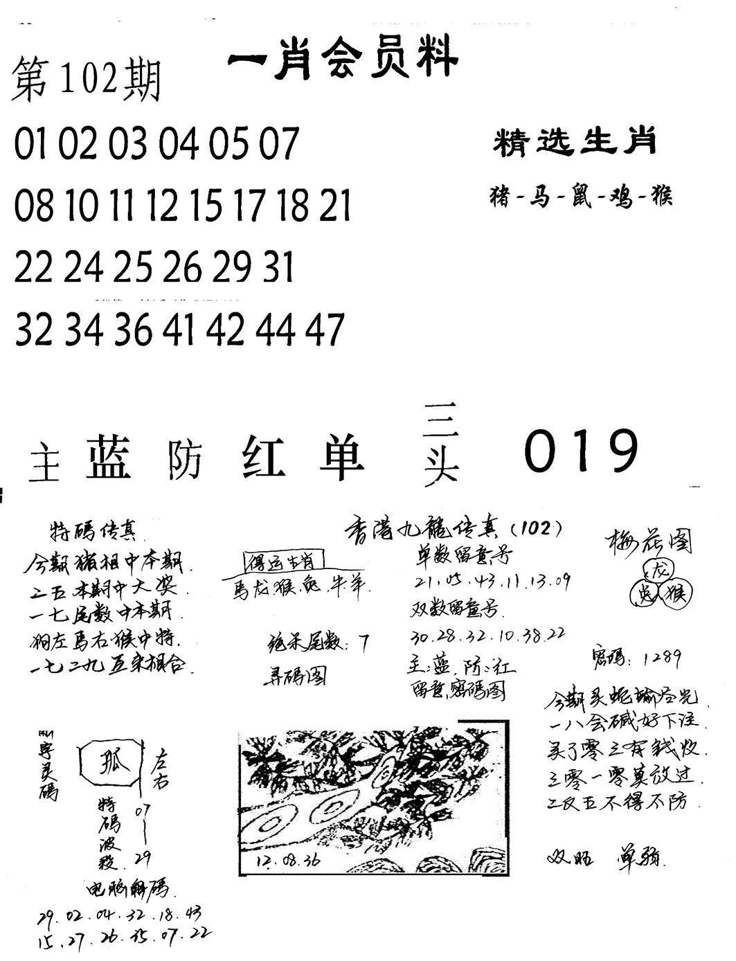 一肖会员料-102