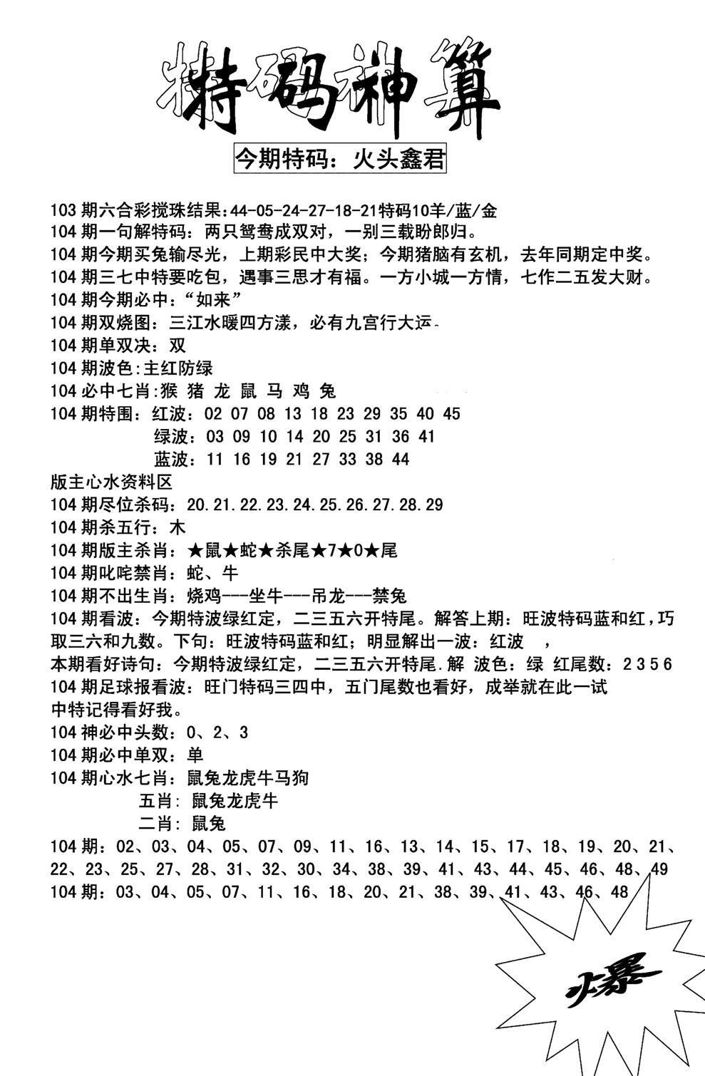 特码神算(新图)-104