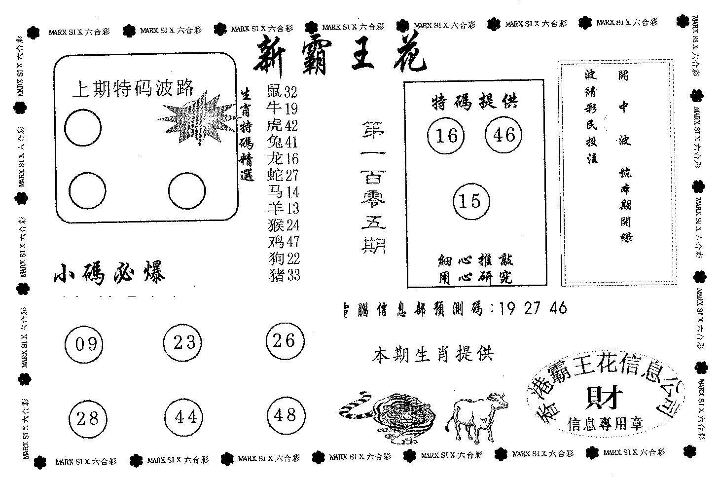 新霸王花-105