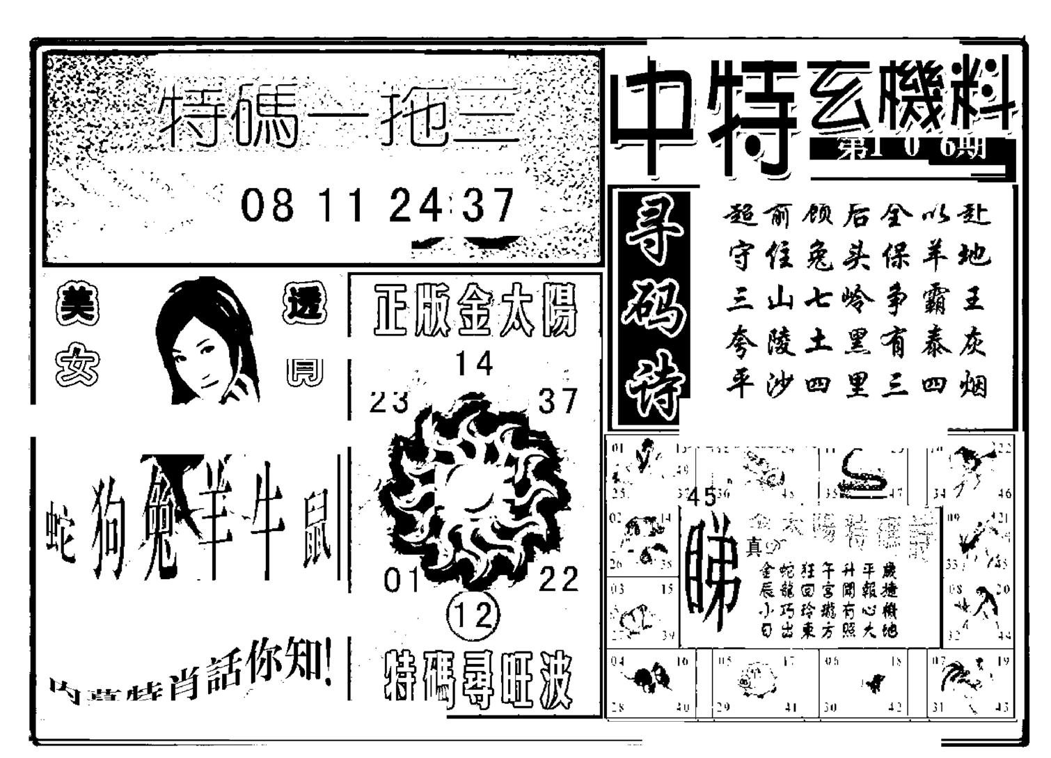 中特玄机料(新图)-106