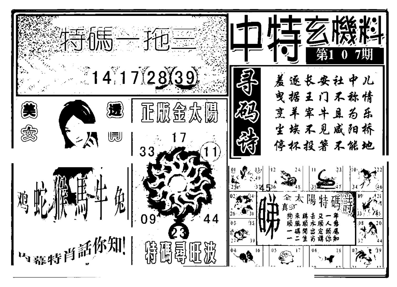 中特玄机料(新图)-107