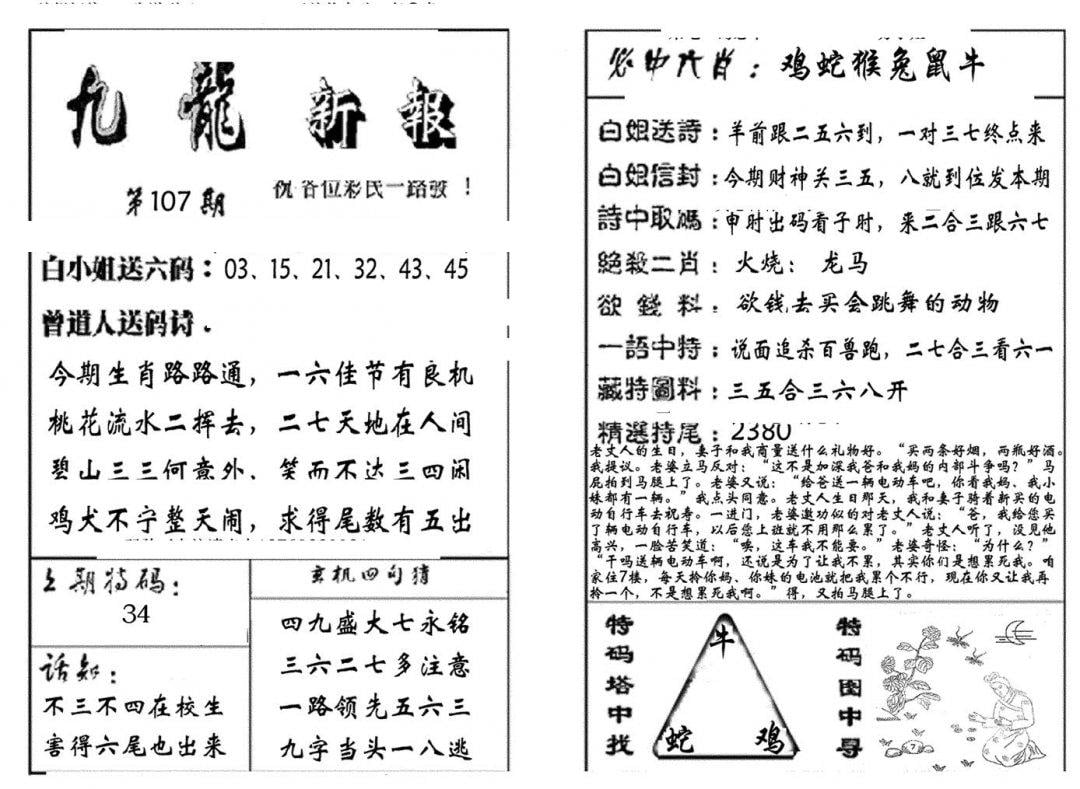 九龙新报(生肖版)-107