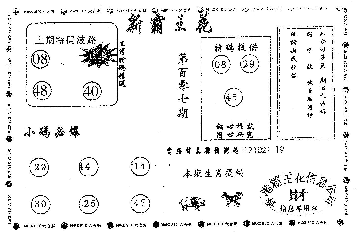 新霸王花-107