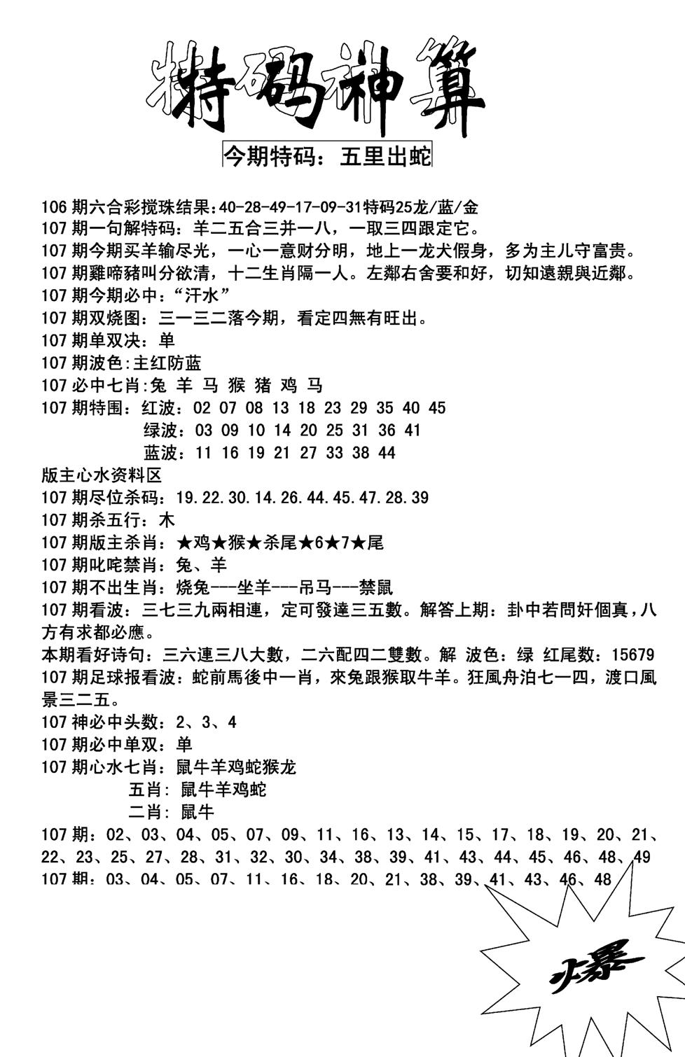 特码神算(新图)-107