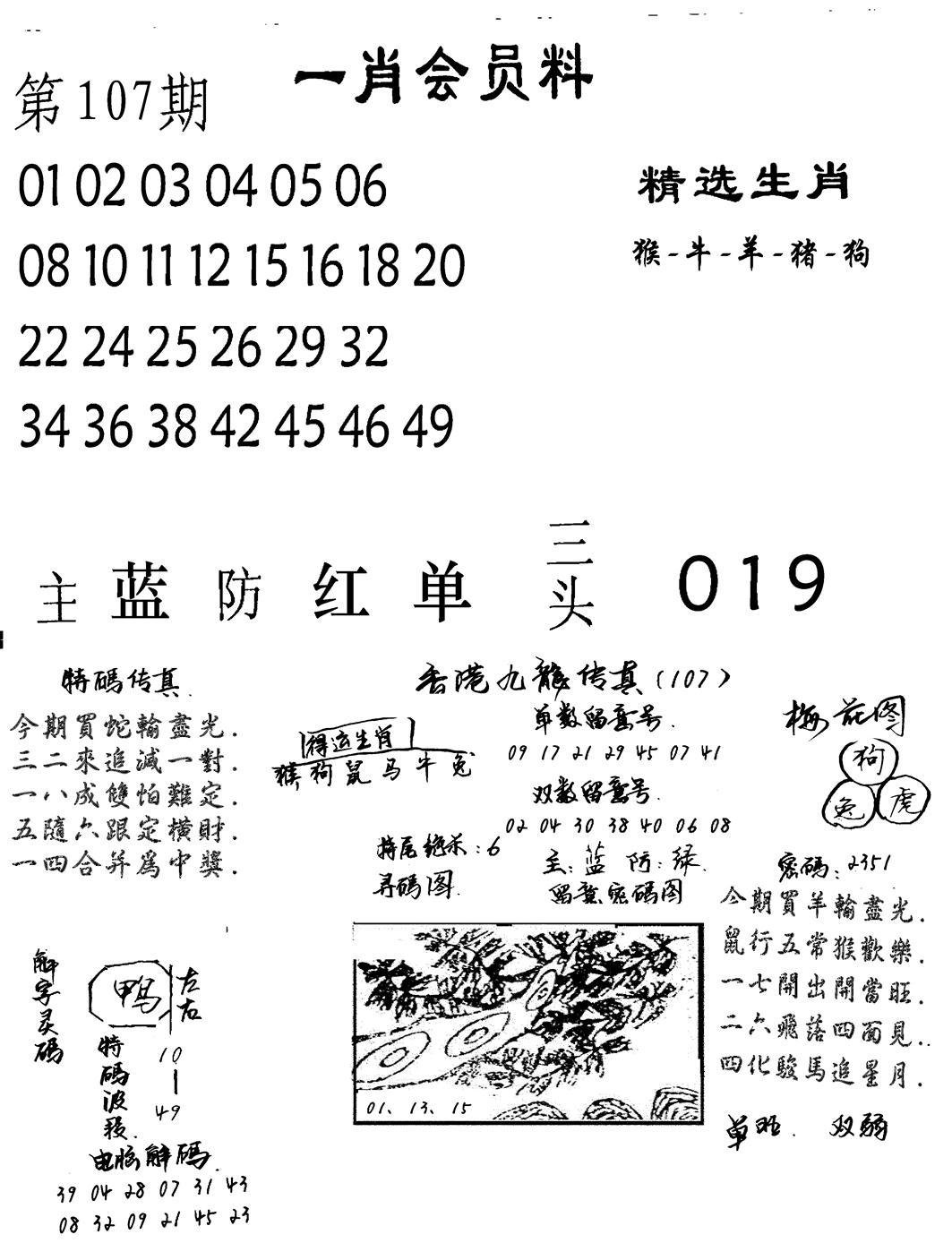 一肖会员料-107