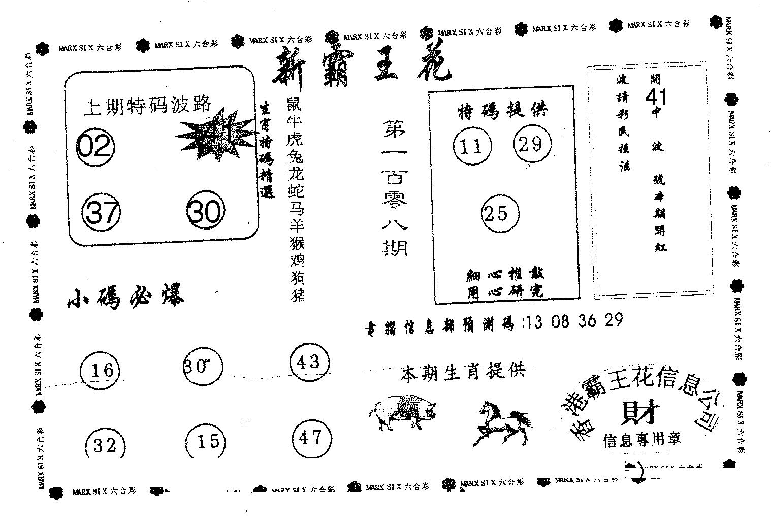 新霸王花-108