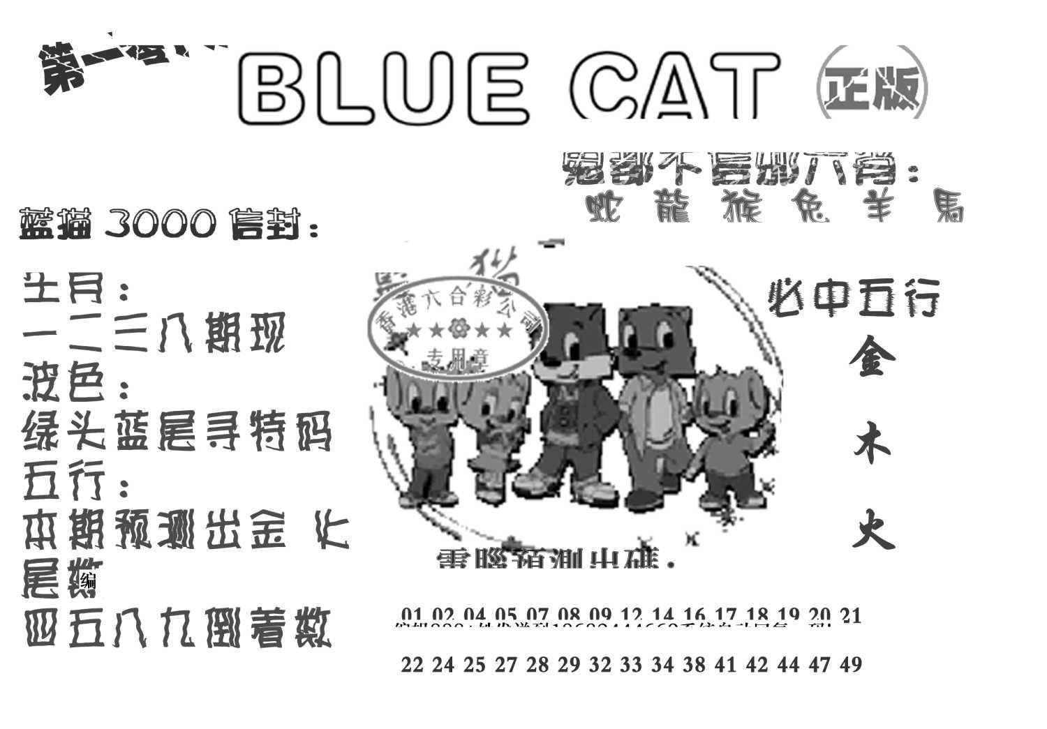 蓝猫Blue Cat-108