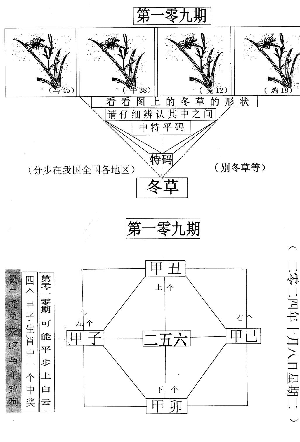 每期一花草-109