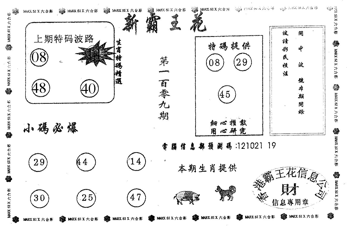 新霸王花-109