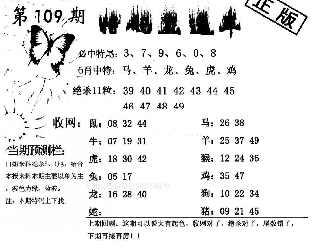 特码直通车-109