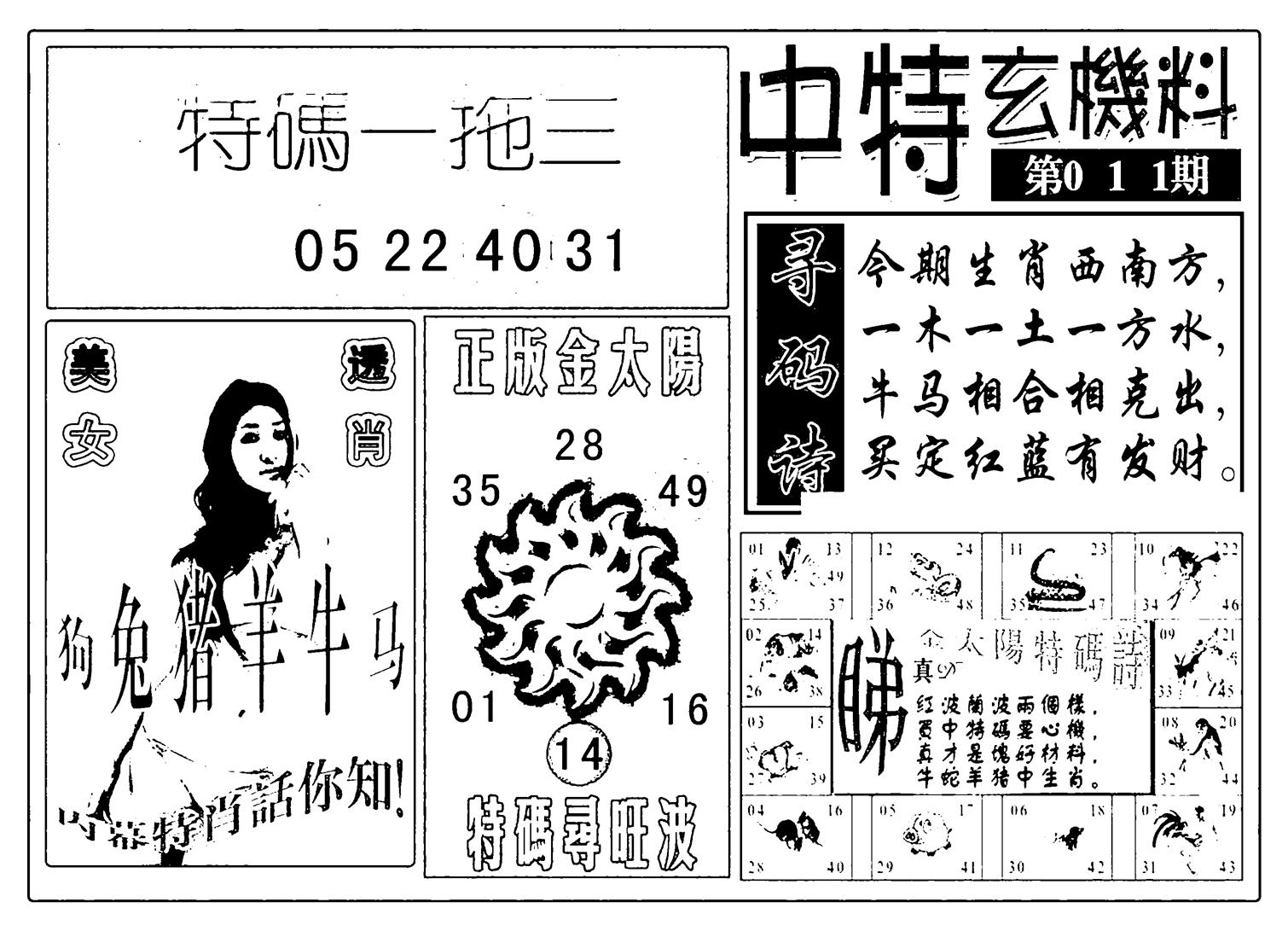 中特玄机料(新图)-11