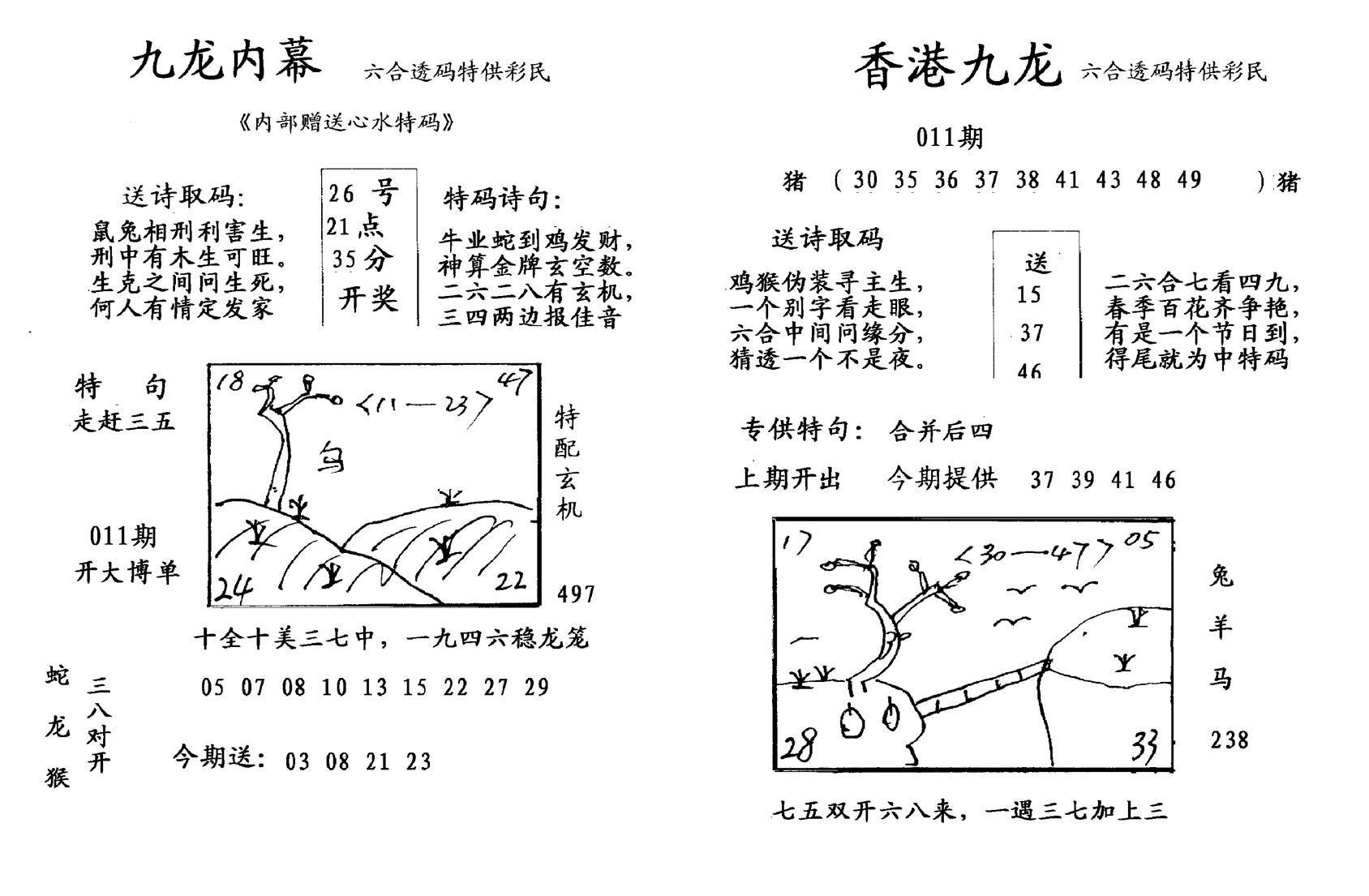 九龙内幕--开奖报-11