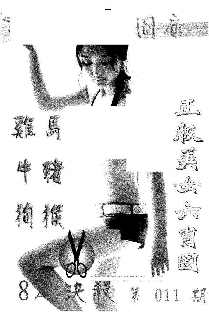 美女六肖报-11