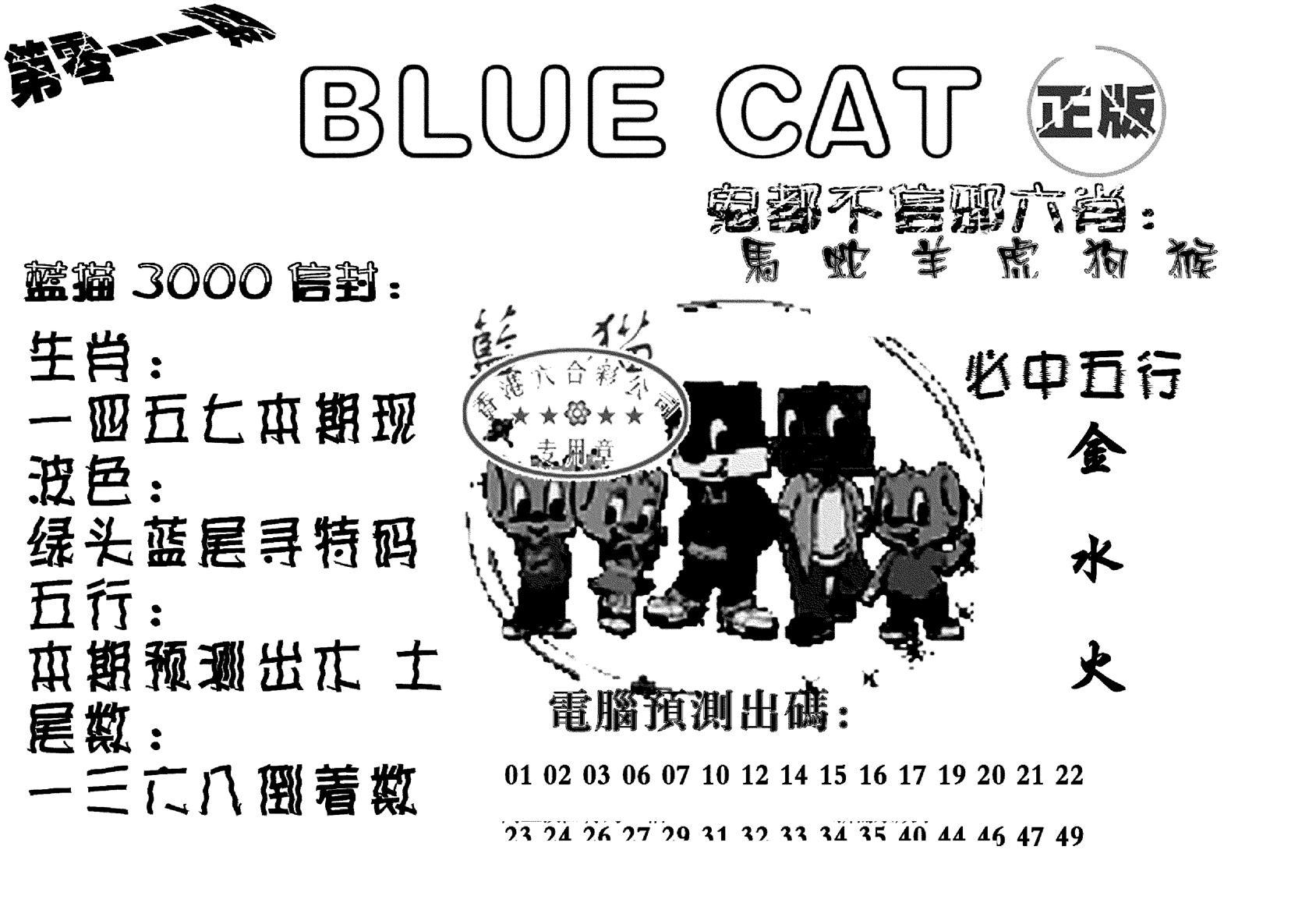 蓝猫Blue Cat-11