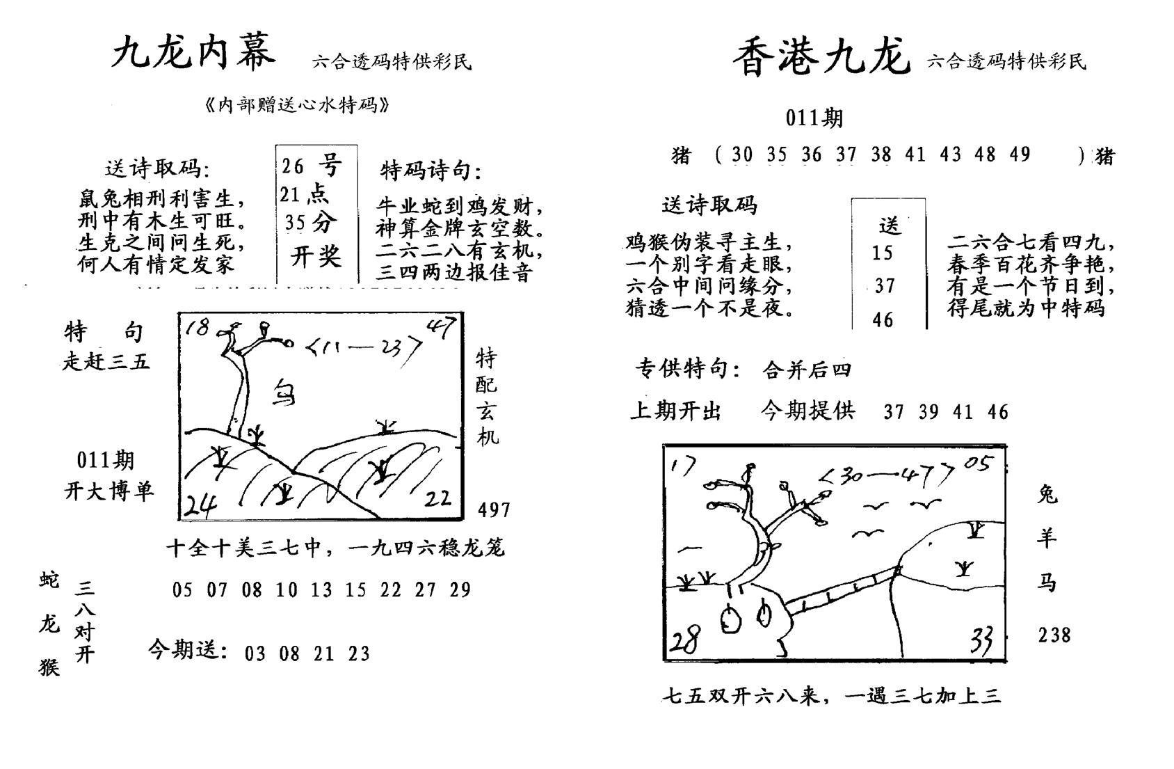 九龙内幕-开奖报(早图)-11