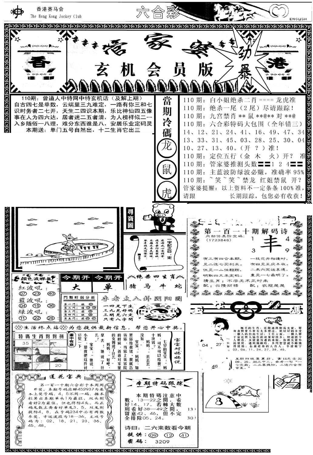 管家婆-玄机会员版(热)-110