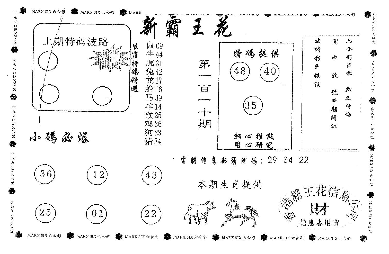 新霸王花-110