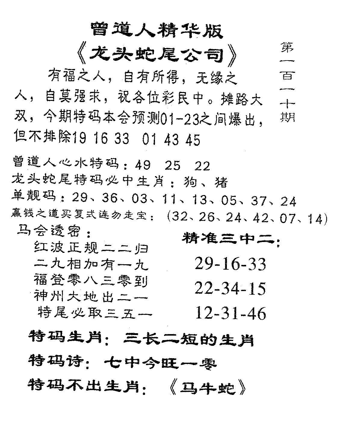 龙蛇精华-110