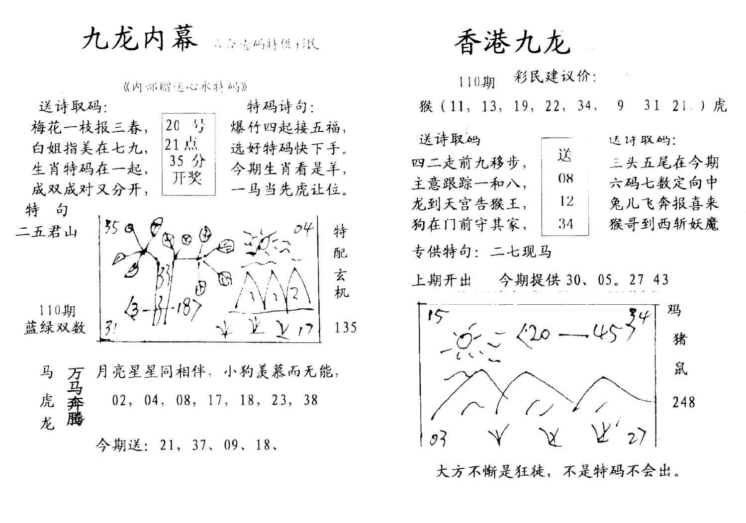 九龙内幕--开奖报-110