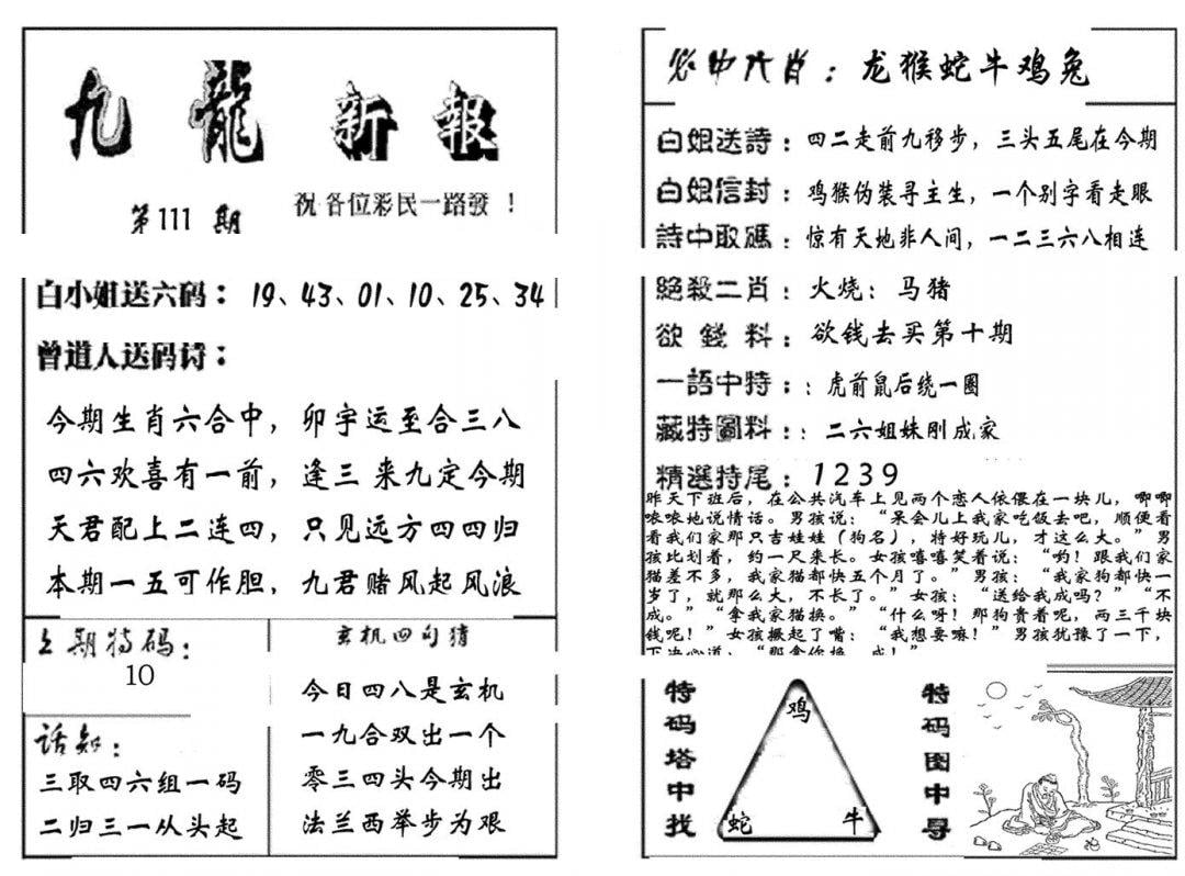 九龙新报(生肖版)-111