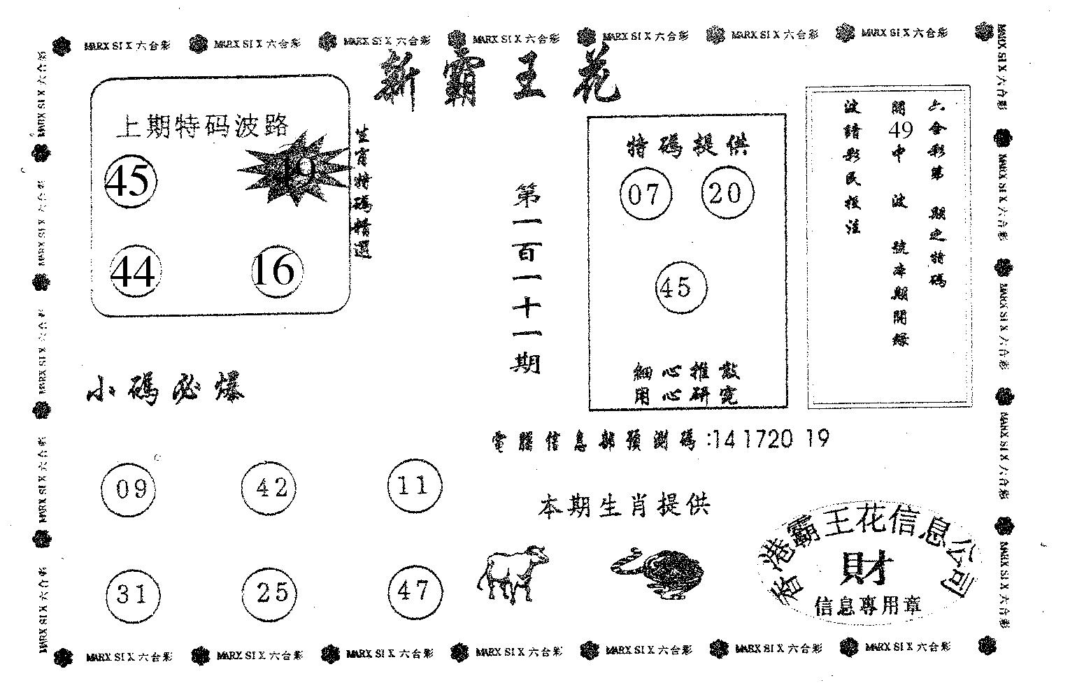 新霸王花-111