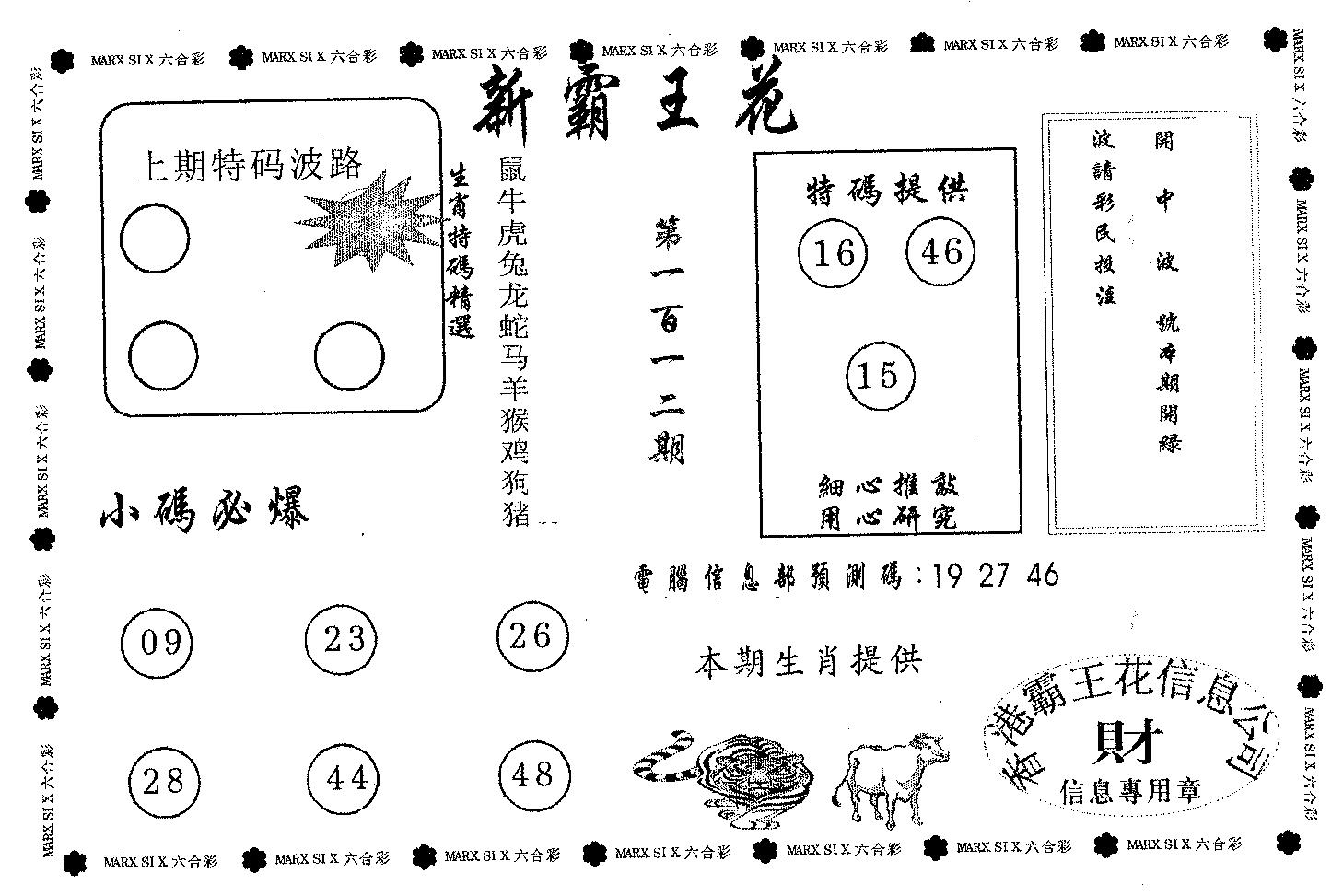 新霸王花-112