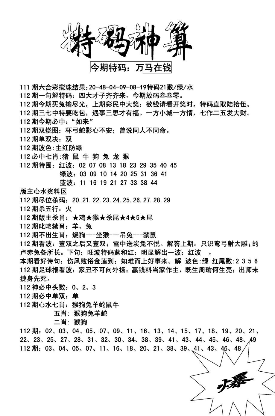 特码神算(新图)-112