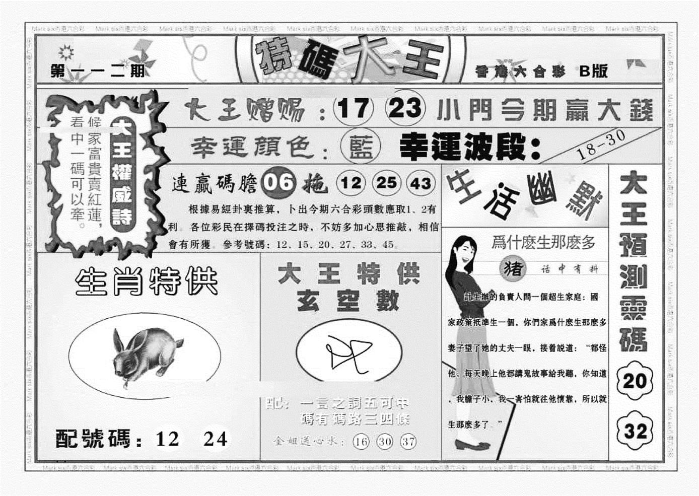 特码大王B（新图）-112