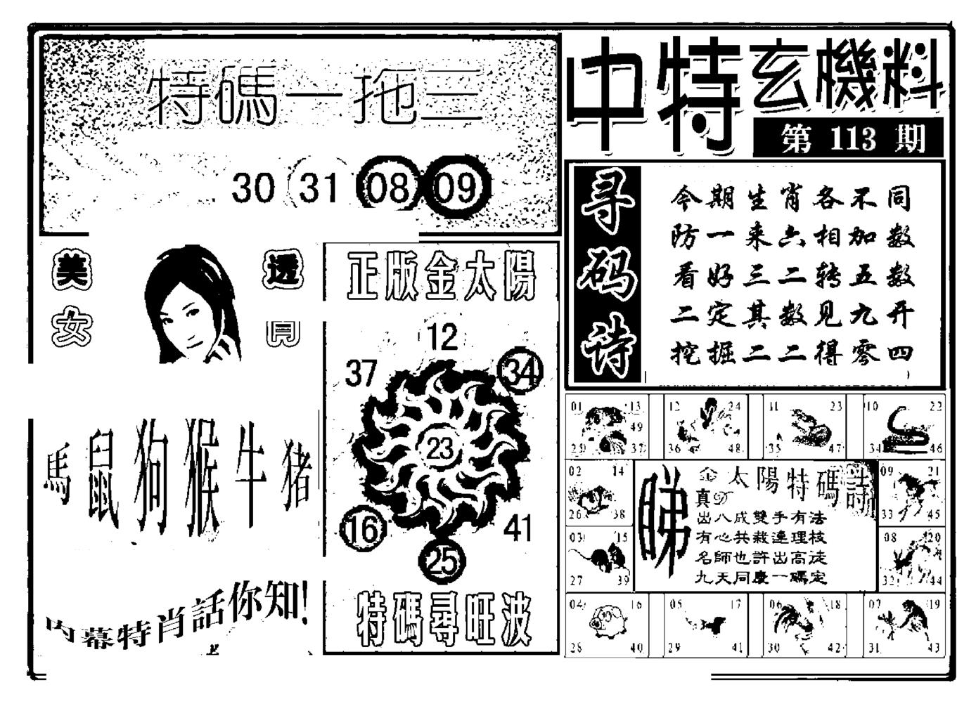 中特玄机料(新图)-113