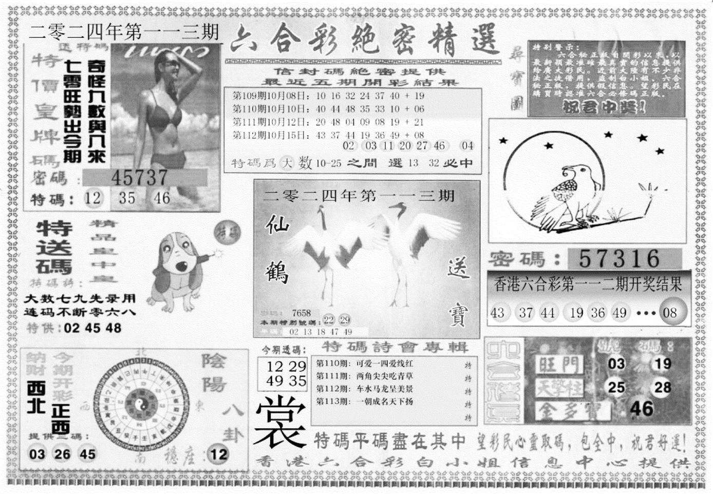 白姐绝密精选A-113