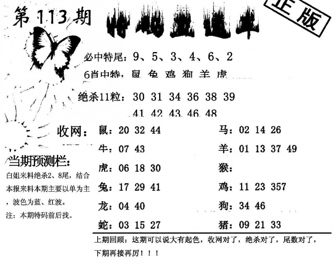 特码直通车-113