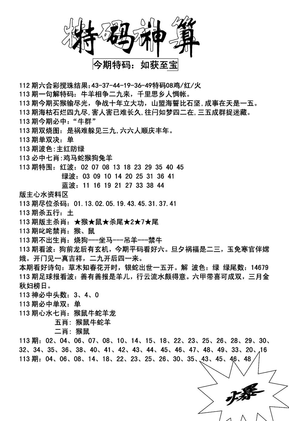 特码神算(新图)-113