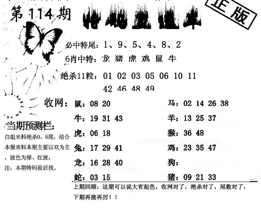 特码直通车-114