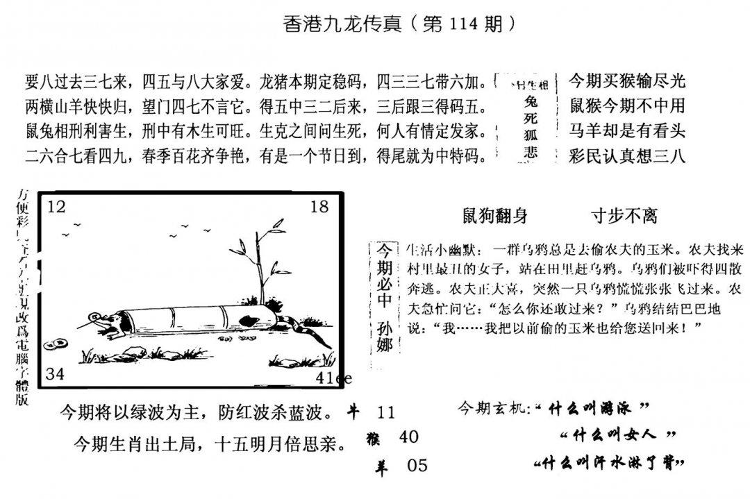 手写九龙内幕(电脑版)-114