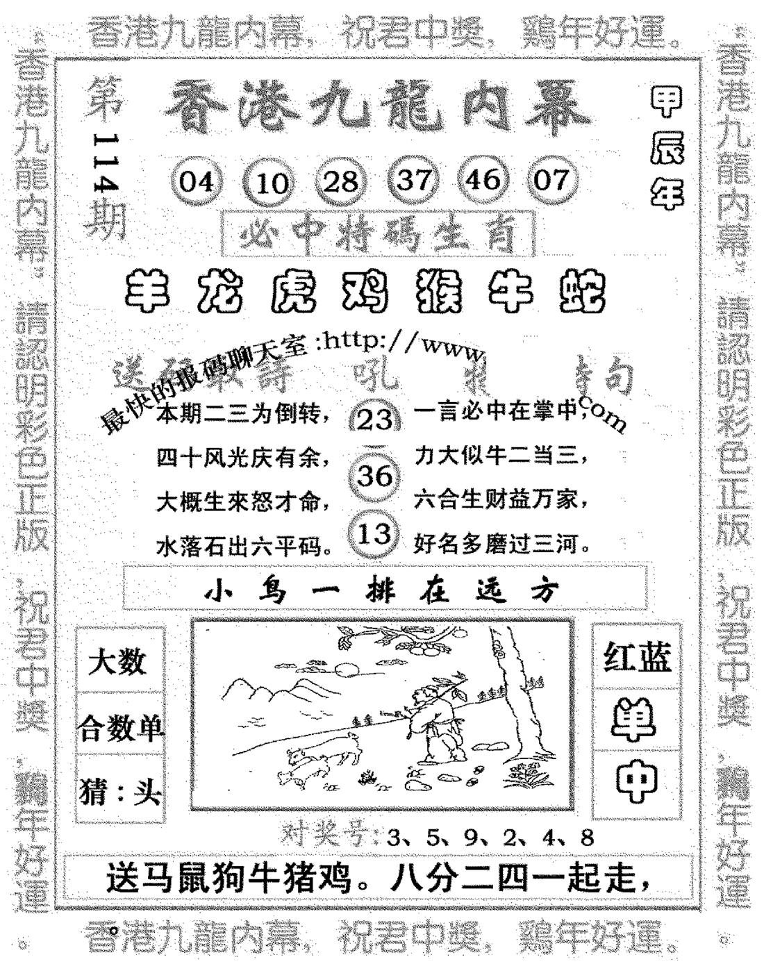 九龙内幕七肖图(新图)-114