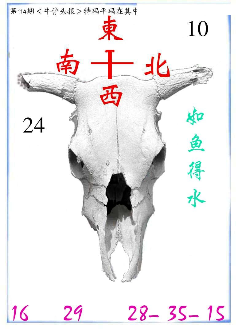 牛派系列7-114