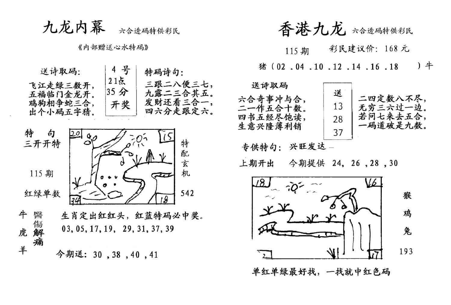 九龙内幕--开奖报-115