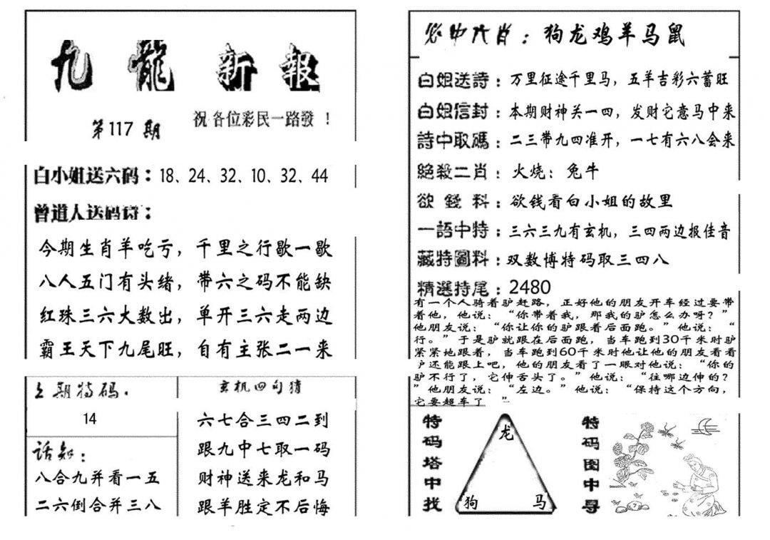 九龙新报(生肖版)-117